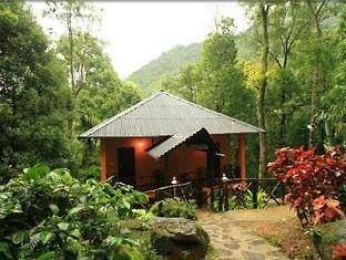 Blue Ginger Wayanad Resorts Εξωτερικό φωτογραφία