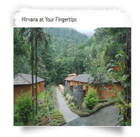Blue Ginger Wayanad Resorts Εξωτερικό φωτογραφία